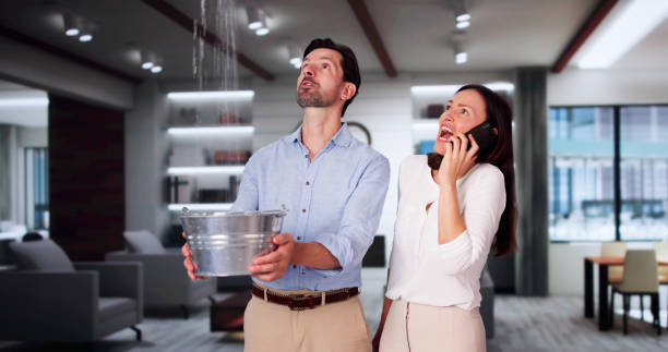 Best Water damage contractors near me  in USA